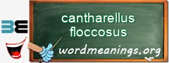 WordMeaning blackboard for cantharellus floccosus